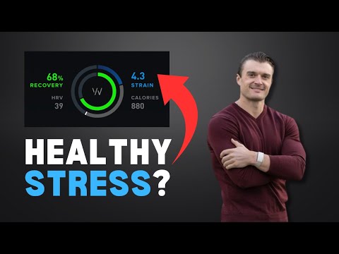 How to handle stress as a business owner with Justin Rothlingshoefer [Video]