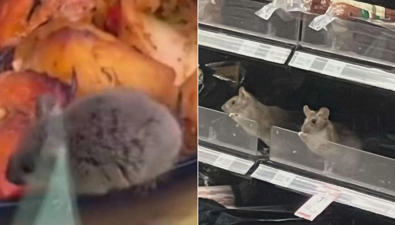 Marketing expert questions Woolworths’ response to Countdown rodent outbreak [Video]