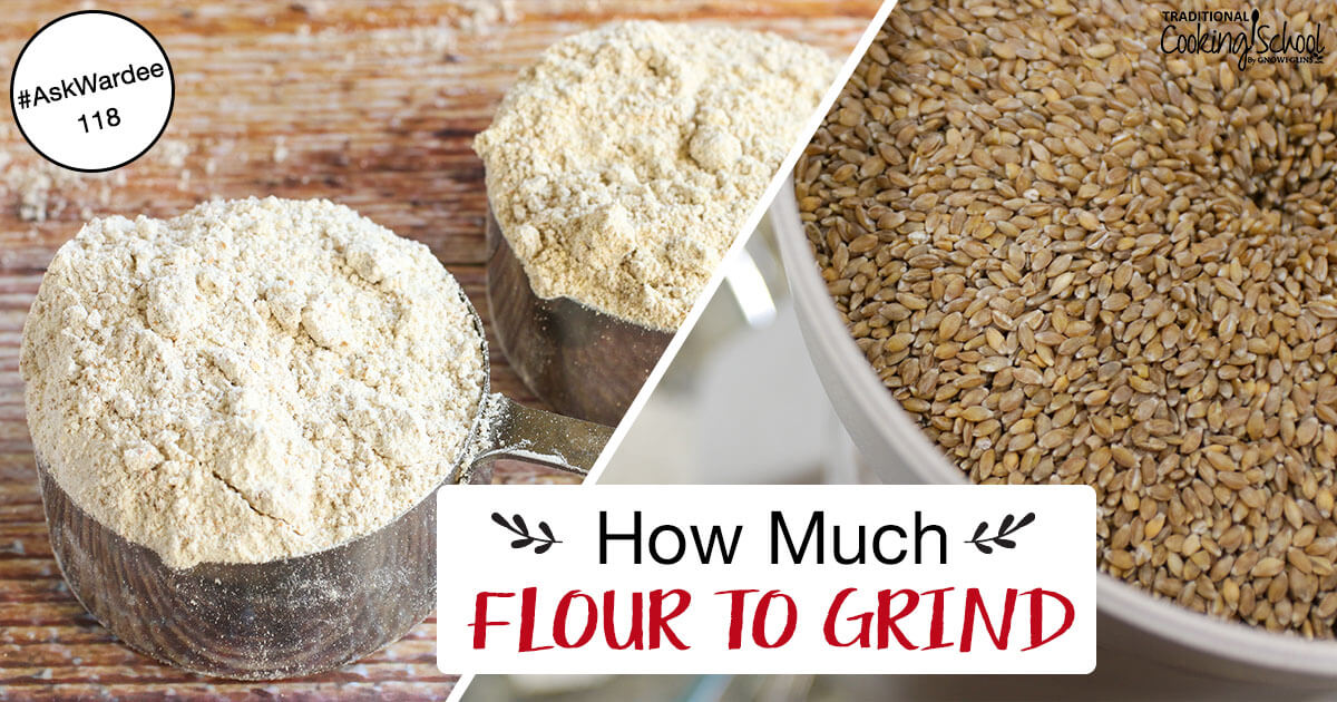 Easy Wheat Berries To Flour Conversion Rate (How Much Flour To Grind!) [Video]