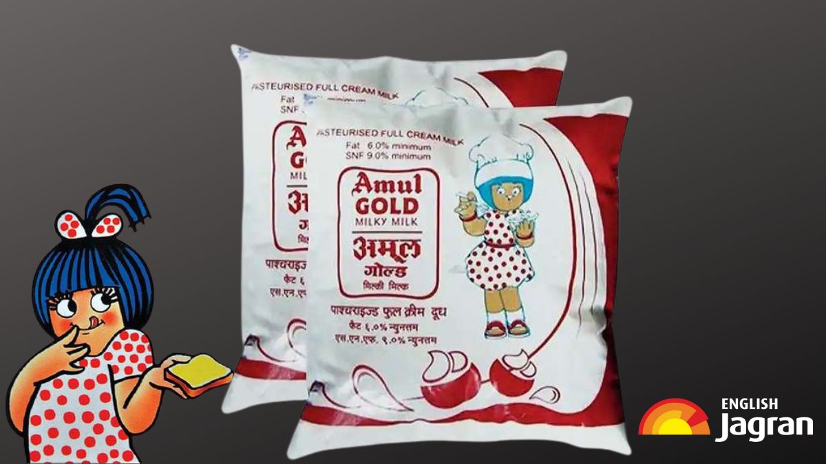 Amul To Launch ‘Super Milk’ With 35 Grams Of Protein Per Glass; Details [Video]