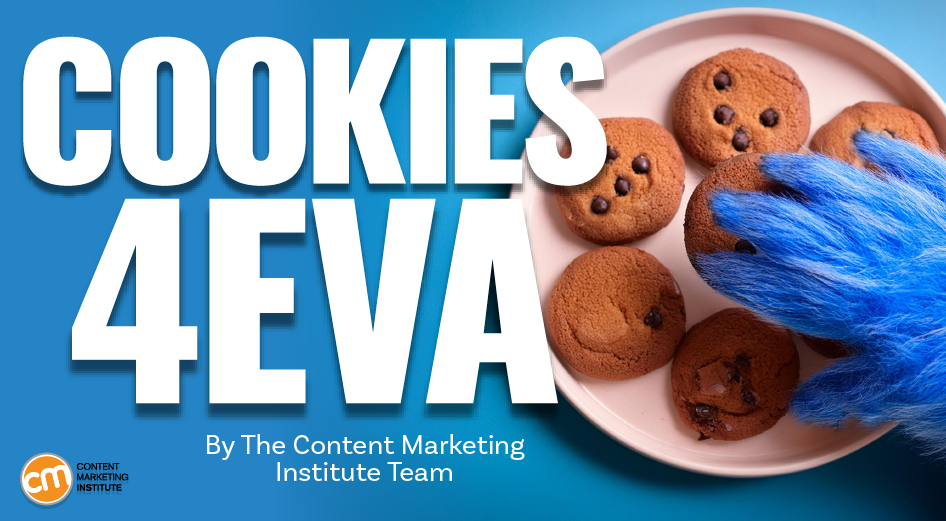 Google Drops Out of the Anti-Cookie Campaign. Whats Next? [Video]