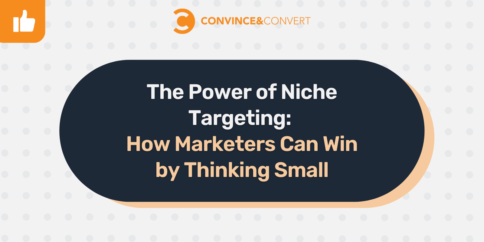 The Power of Niche Targeting: How Marketers Can Win by Thinking Small [Video]