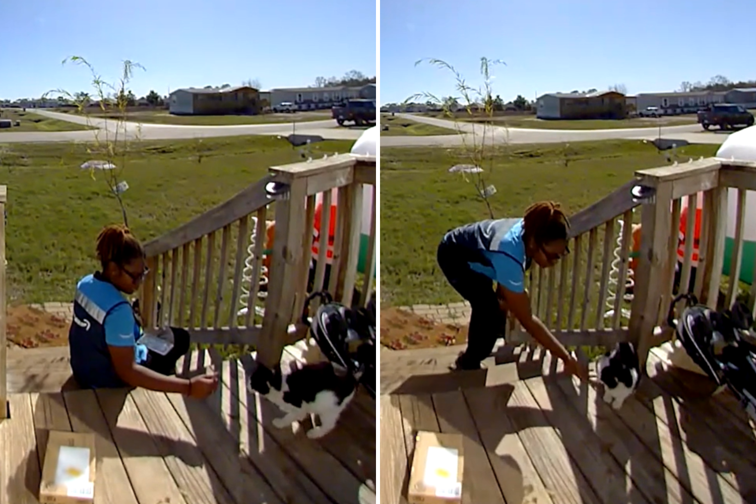 Delivery Driver Spots Cat, Doorbell Camera Captures What Happens Next [Video]